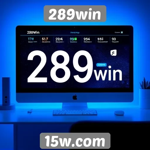 Acessibilidade e usabilidade do site 289win